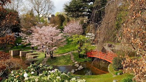  Jardins du Japon: Un Viaggio sensoriale attraverso la Natura e l'Arte